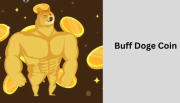 What is Buff Doge Coin payment? – All Info About Coin