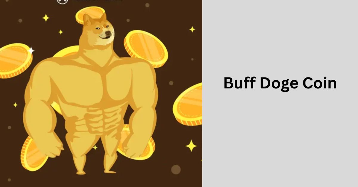 Buff Doge Coin